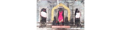 திருக்கொலிலி - ஆவணி விதங்கர் - பிருங்க நடனம்